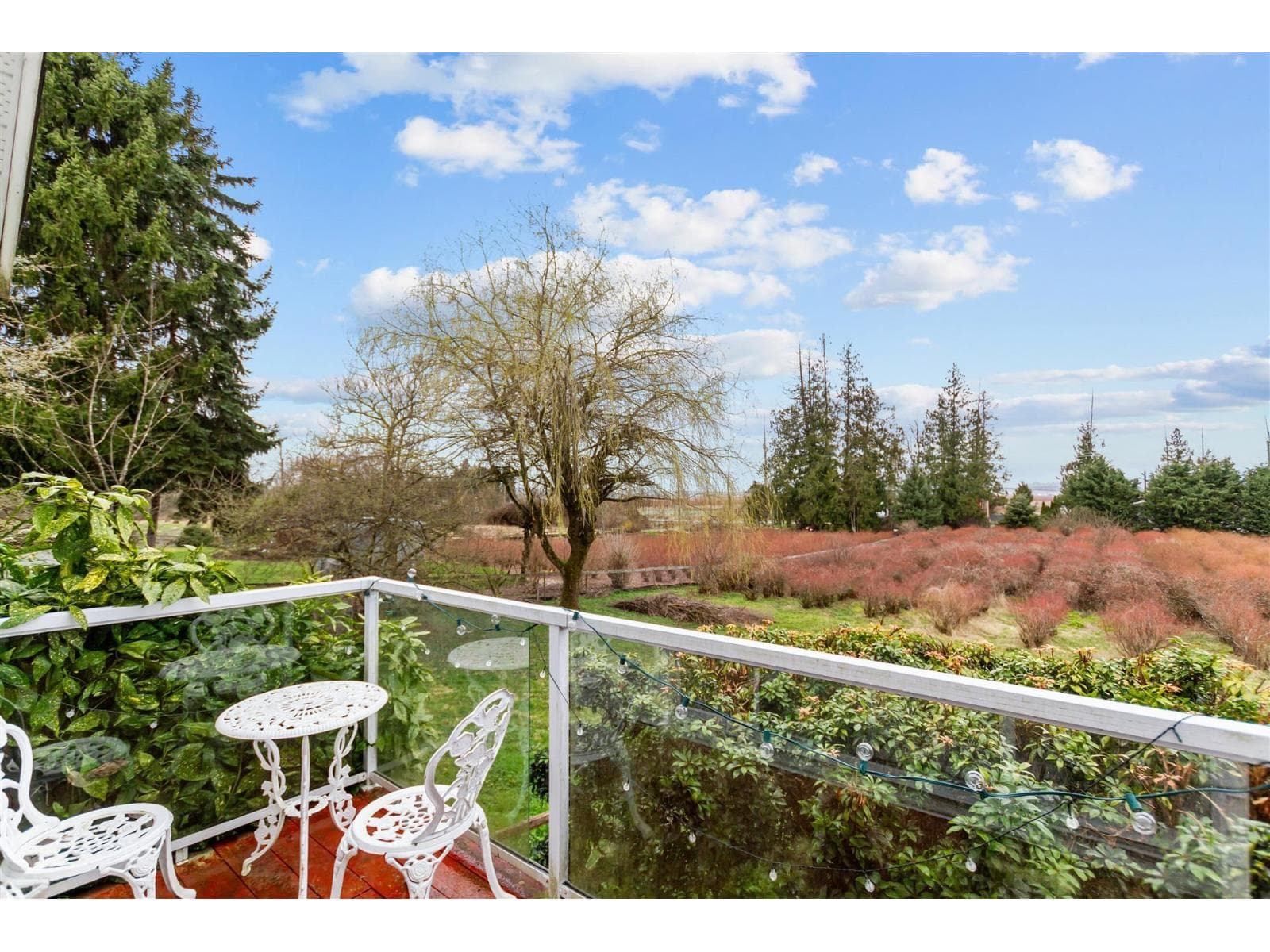 17325 31 Avenue, Surrey: photo 1 of 11